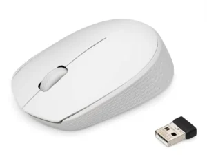 Mouse